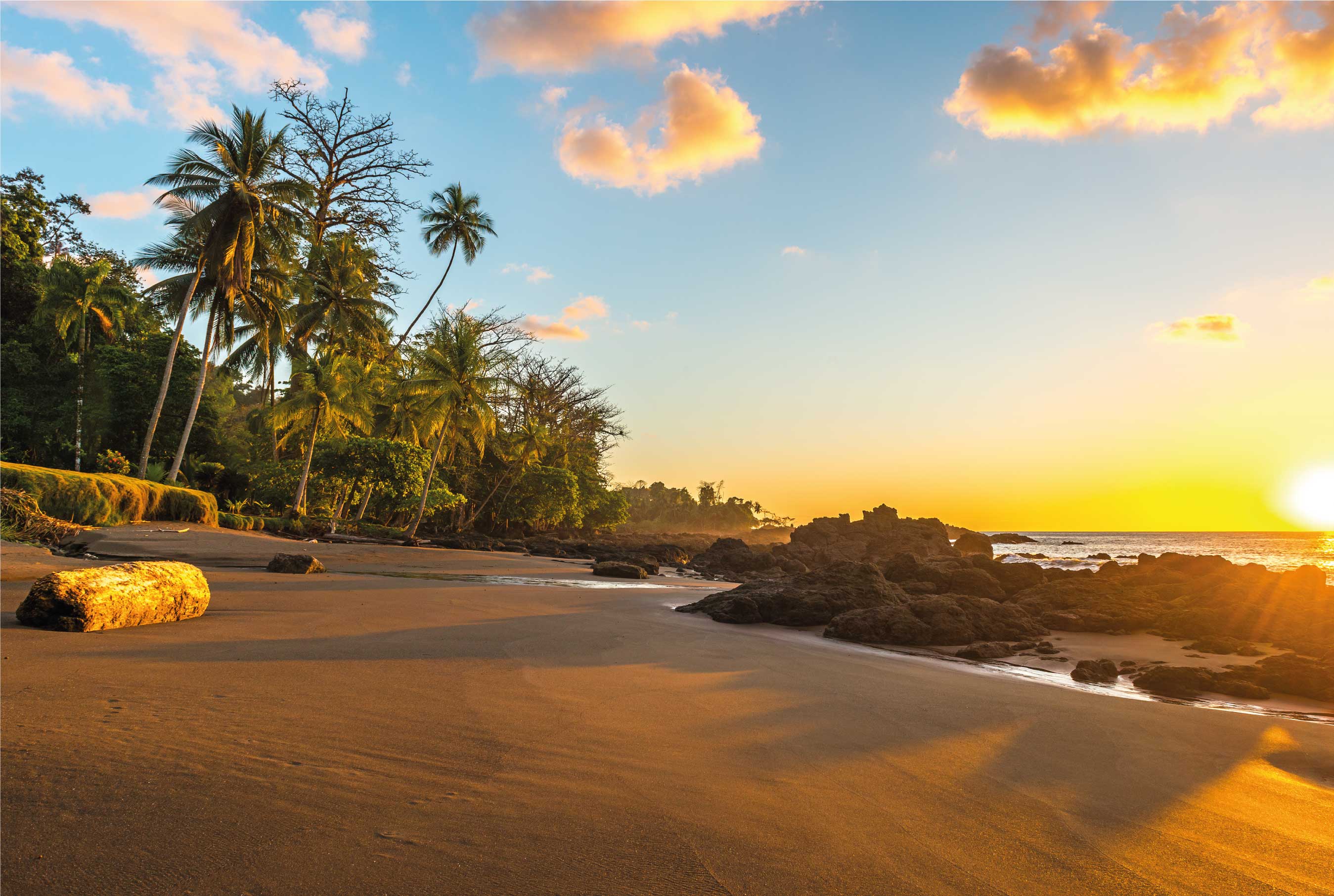 ¡Maravillate con Costa Rica! playas , excursiones , ciudad y más . Todo en un mismo lugar