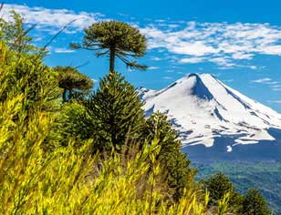 paquete-temuco-cocha