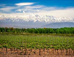 vuelo-mendoza-cocha