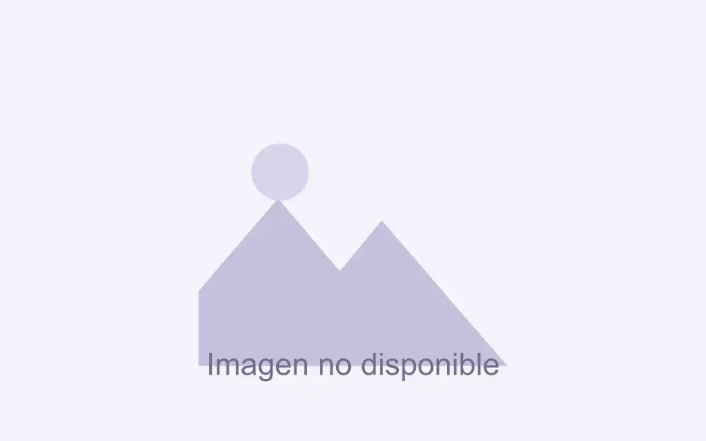 descripción de la imagen