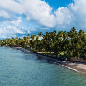 Playa tropical con palmeras, arena y mar azul bajo el cielo.