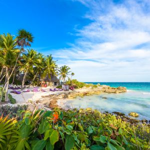 Playa arenosa con palmeras, mar, tumbonas y cabañas de techo de paja.