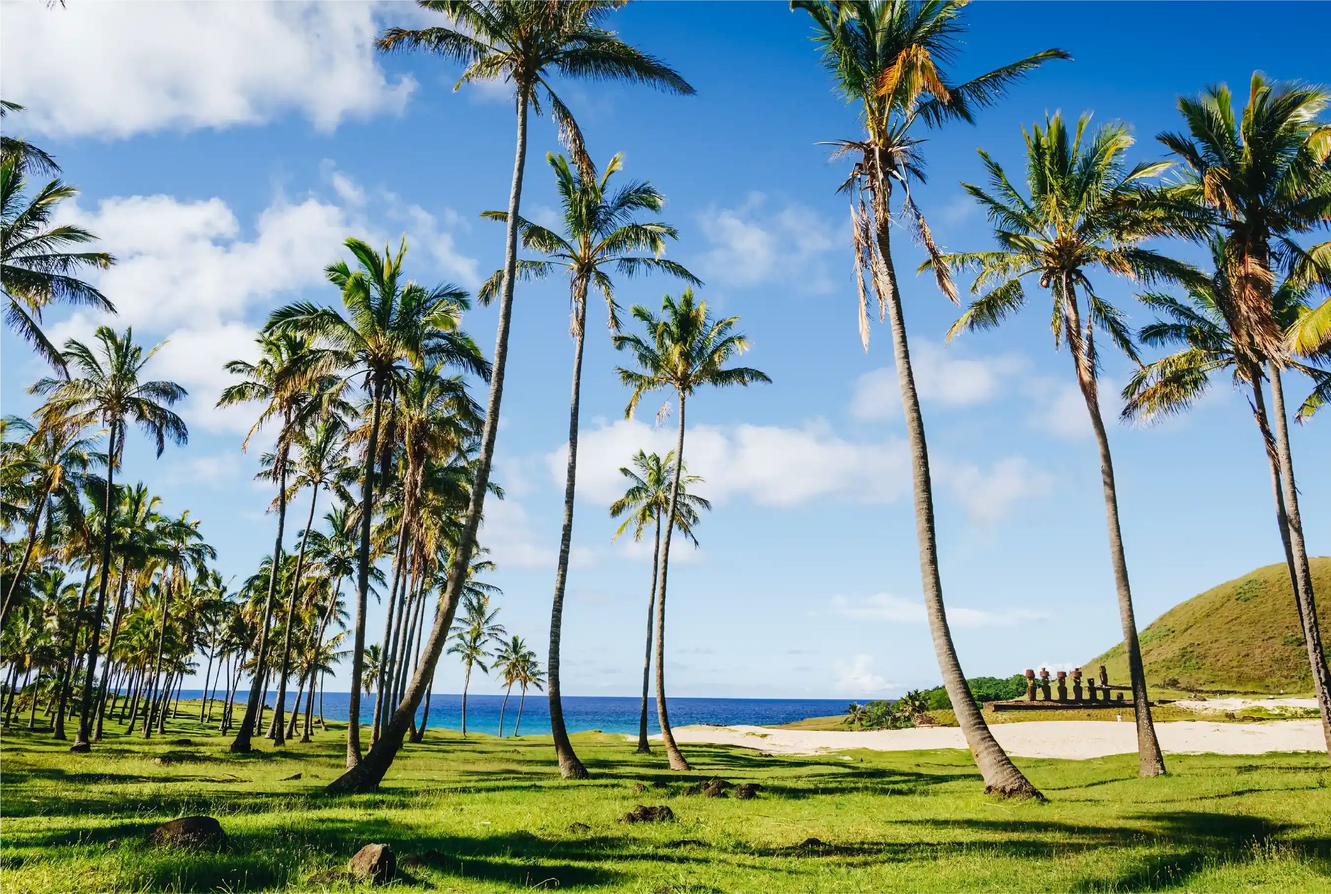 paquete-isla de pascua-cocha