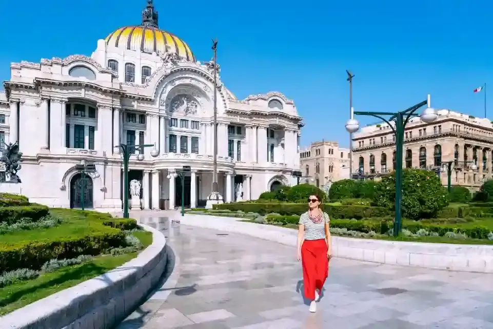 hotel-ciudad de méxico-cocha