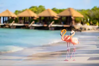 Aruba