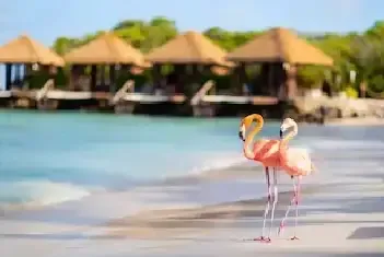 Aruba
