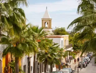 vuelo-copa airlines-san josé del cabo-cocha