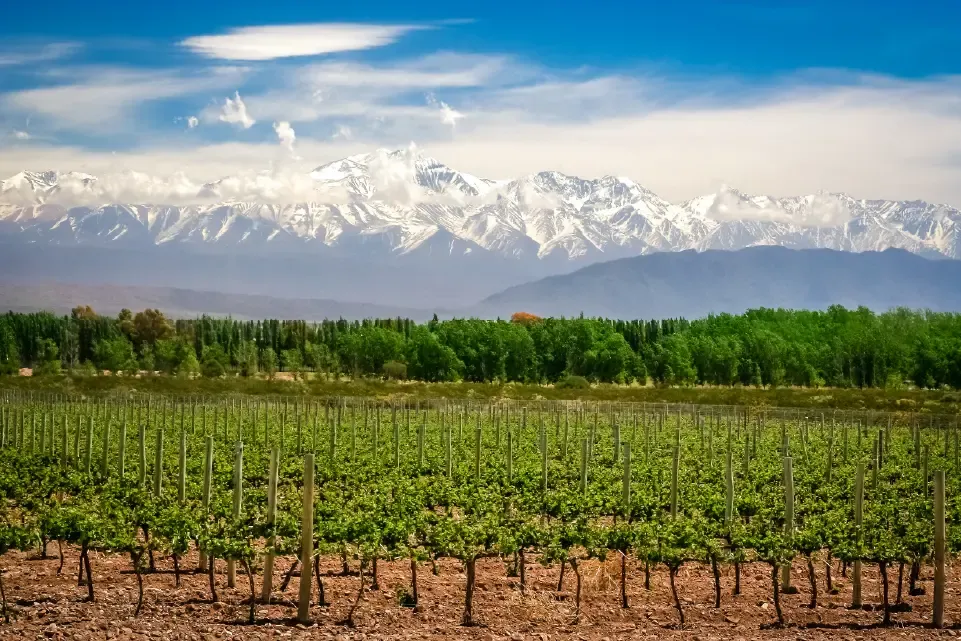 Mendoza