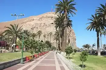 Arica