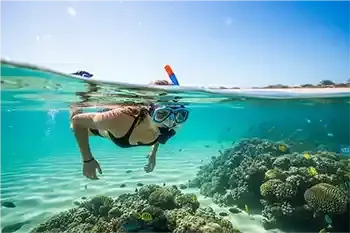 vuelo-aruba-cocha